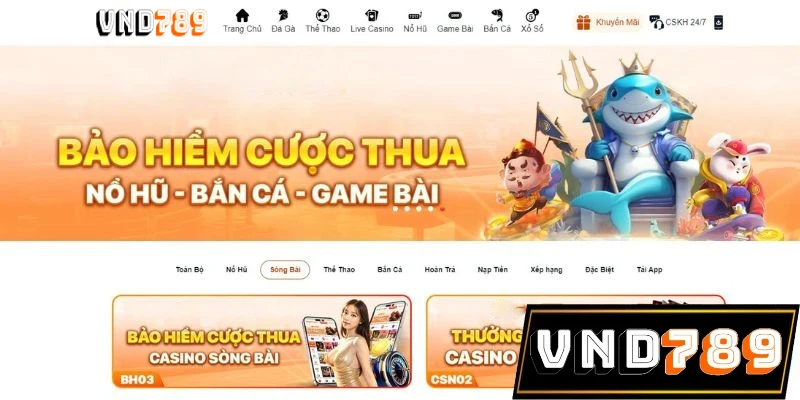Chương trình bảo hiểm cược