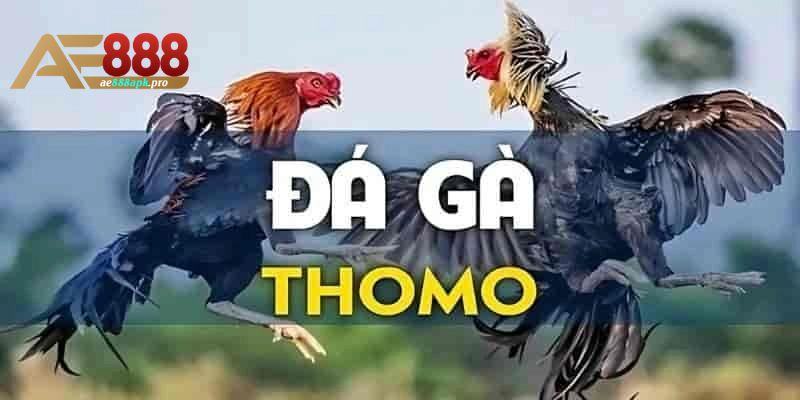da-ga-thomo-AE888-2